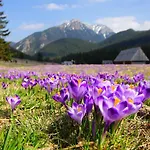 Hotel Helios Nowy Basen ! Zakopane, Centrum - Tylko 300m Od Krupowek ! Zakopane