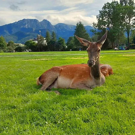 Helios 300m Od Krupowek Nowy Basen Od 12 Lipca 호텔 2*