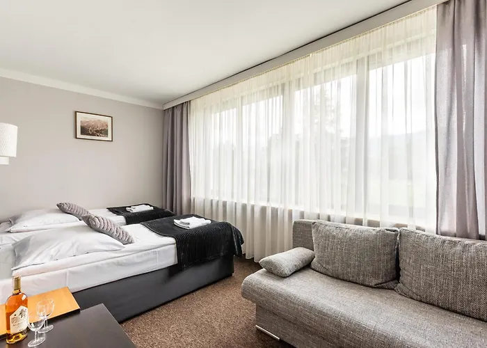 Helios 300m Od Krupowek Nowy Basen Od 12 Lipca 2* Zakopane